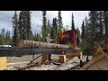 HOME BUILT SAWMILL IN ACTION