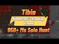 Tibia  full hunt 950ms nimmersatts breeding ground  92kk raw exph profit 16kkh