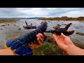 Massive Lobsters All Over ! Amazing Foraging Trip ! Catch N Cook !