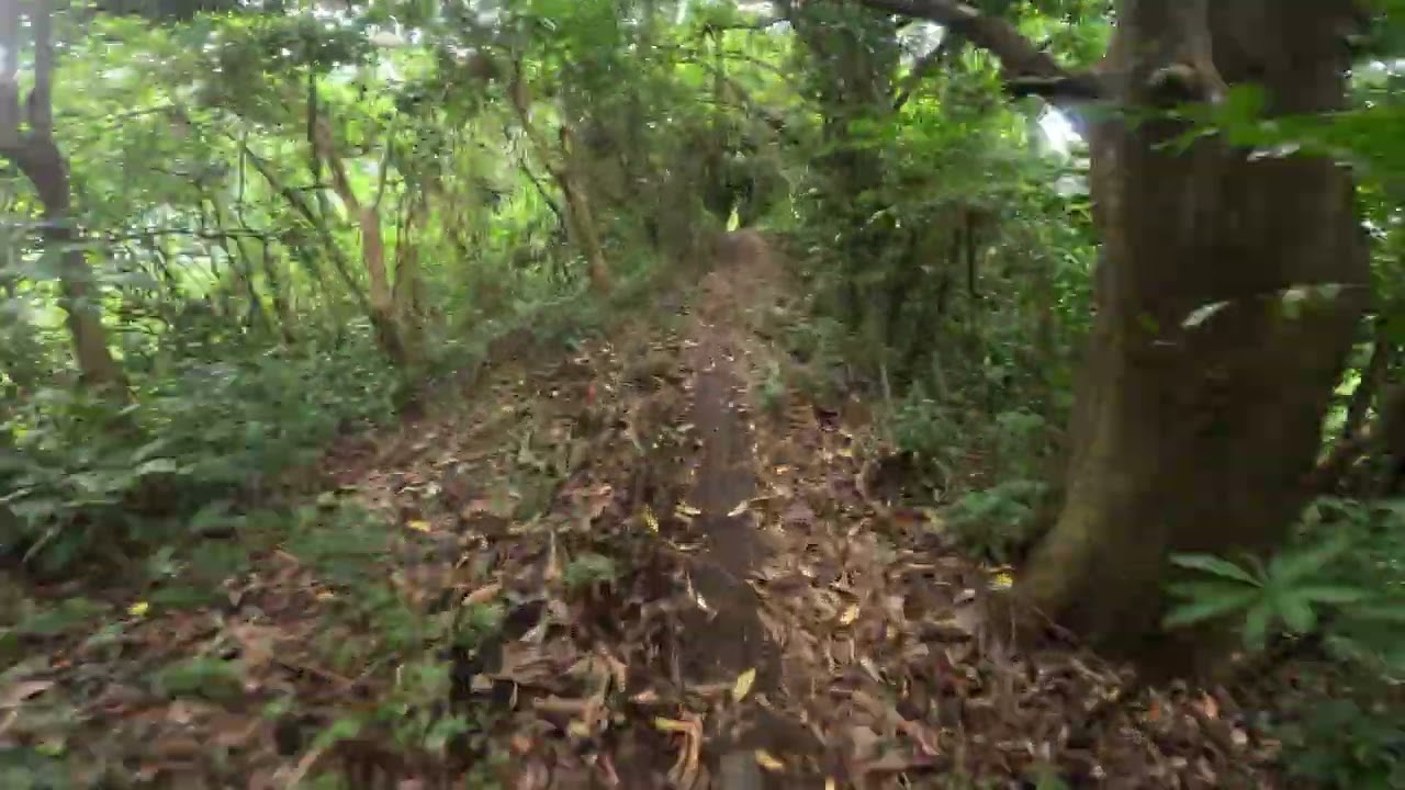 2025.8.13 - Full Run Fun with Alton @Papis Trail