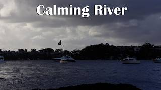 1 Hour Sitting at a River with Soft Waves & Boats | Ambiance for Focus, Deep Sleep & Study Aid screenshot 5