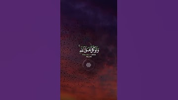 📖سورة الأحزاب 🎙️اسلام صبحي