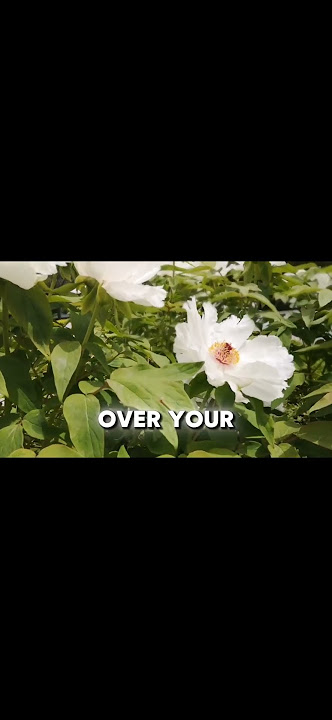 Saat Anda Membuka Mata / Denzel Washington #motivasi #videomotivasi