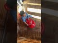 Drift🚙 Pro 🚴2 year old toddler stunt rider