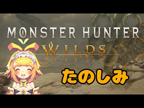 【モンスターハンターワイルズ】【ネタバレ注意】寒い所に行ったところから🍊のんびりストーリー進めるみたい🍊4【Vtuber】