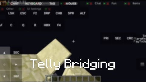 Telly Bridging | Pojavlauncher