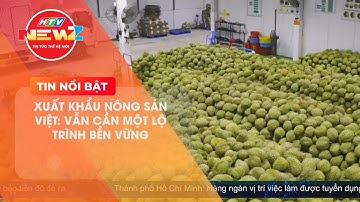 XUẤT KHẨU NÔNG SẢN VIỆT: VẪN CẦN MỘT LỘ TRÌNH BỀN VỮNG