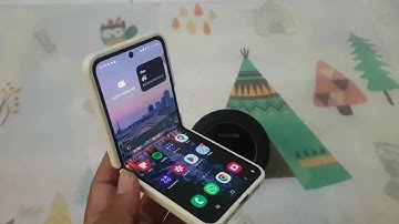 Samsung Galaxy Z Flip 5: How to Enable or Disable Google Assistant