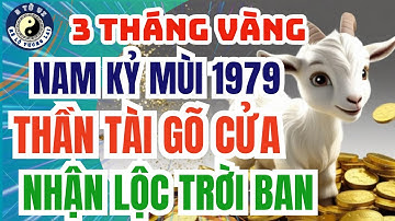 Nam Kỷ Mùi 1979: 3 Tháng Rực Rỡ Tiền Bạc Năm 2025 – Thần Tài Đến Gõ Cửa!
