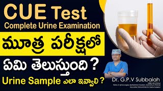CUE or Urinanalysis - What we understand from urine test ? I Urine test I Health I Dr GPV Suabbaiah