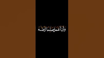 فتبسم ضاحكا من قولها سورة النمل بلال دربالي #قران_كريم #بلال_دربالي #سورة_النمل