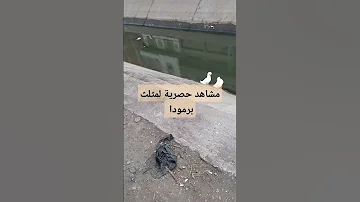 مثلث برمودا حصرى فى نبروه 