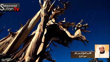 فديو HD سورة نوح القارئ الشيخ إدريس أبكر I قناة  سلطان العواد