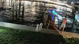 South Florida boat crash leaves dog stranded; driver arrested for allegedly fleeing scene