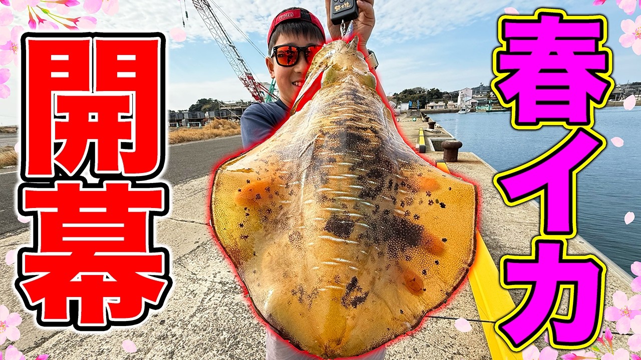 イカリング Island Life #67] The long-awaited spring squid season has begun