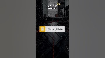 القارئ هيثم الدخين #ستوري #قرآن_كريم #حالات #سناب #foryou