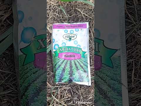 Калій для помідор