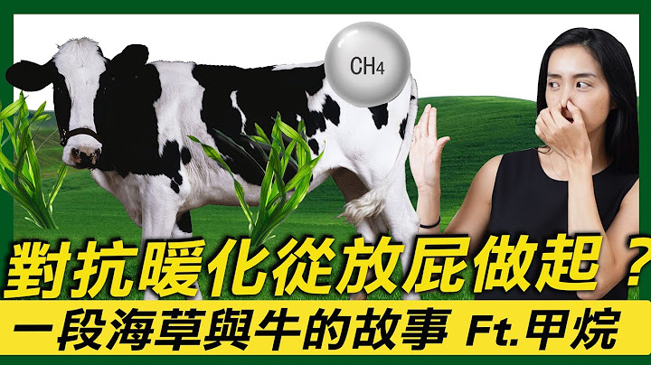對抗暖化從放屁做起？一段海草與牛的故事Ft.甲烷｜Greenvoice 綠之心EP16｜綠色和平台灣 - 天天要聞
