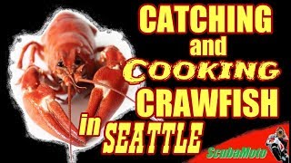 Catch N' Cook Crayfish Crawfish in Seattle Washington