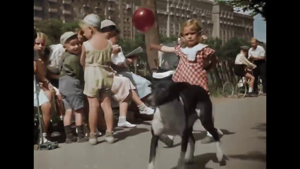 Олег Басилашвили. Кинозвезды, Актер, Актеры