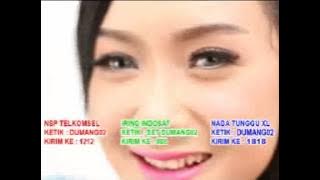 Goyang dumang karaoke no vocal   lyrics