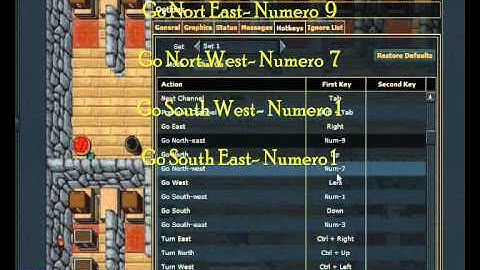 Habilitando andar na diagonal - Flash Client