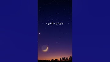 أفمن شرح الله صدره للإسلام | ماهر المعيقلي | سورة الزمر |حالات واتسآب دينيه | حالات واتس قرآن كريم