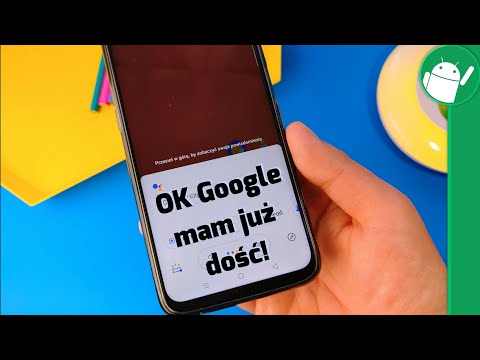 Wideo: Jak Wyłączyć Tłumacza Google