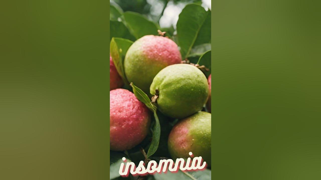 why-we-should-not-eat-guava-at-night-learn-new-facts-youtube
