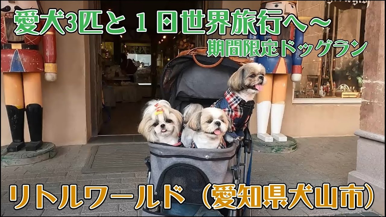 シーズー 愛犬3匹と1日世界旅行 期間限定ドッグラン リトルワールド に行ってきました シーズー 多頭飼い 愛犬 ドッグラン Youtube シーズー 愛犬3匹と1日世界旅行 期間限定ドッグラン リトルワールド に行ってきました シーズー 多頭飼い 愛犬 ドッグラン Youtube