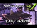 Ice Fishing Lake Trout | Giant Ugly Green Lure!