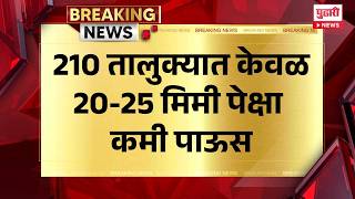Rain Update Maharashtra, 210 तालुक्यात केवळ 20-25 मिमी पेक्षा कमी पाऊस
