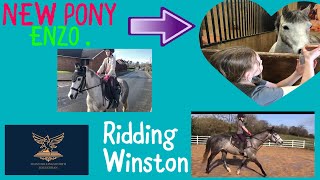 NEW Pony Enzo and ridding Winston .