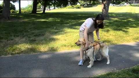 The Seeing Eye Children