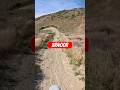 XR400R Off Road Fun