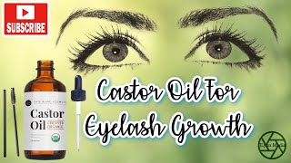 Castro Oil For Eyelashes