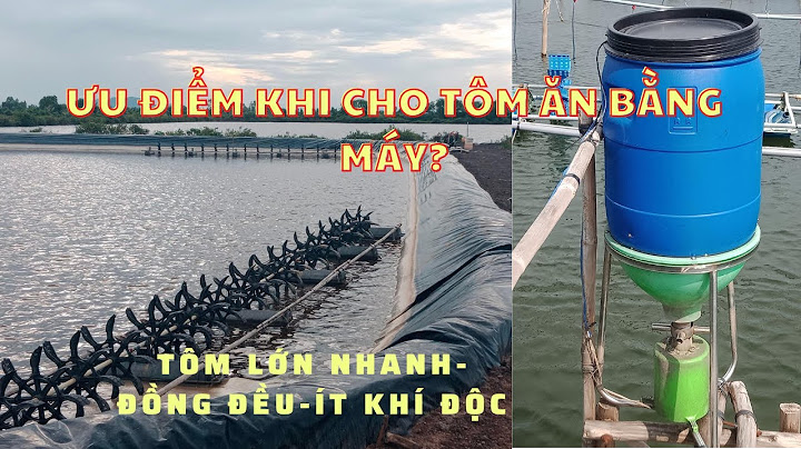 Cho tôm ăn thời điểm nào trong ngay tốt nhất