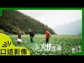 【浩克慢遊】|《南山、梨山。小隱山林》｜#口述影像版 ｜#王浩一 #劉克襄