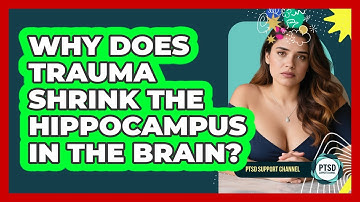 Why Does Trauma Shrink The Hippocampus In The Brain? - PTSD Support Channel