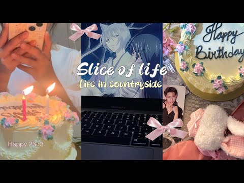 🌿slice of life|| life at home, turning 23🍓