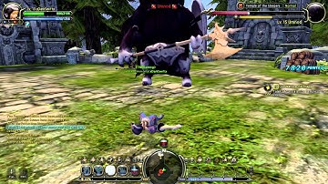 DragonNest - WTF?!