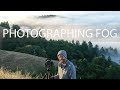 Landscape Photography | Fog, Composition and Turkeys