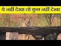 "Nahargarh Biological Park" की ये Wild Life नहीं देखी तो कुछ नहीं देखा | Shagun Production