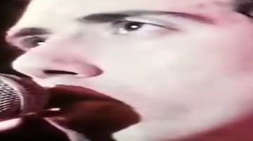 Weird Al’s Discography: Polkas on 45 but every time a word is repeated it loops (3/4)