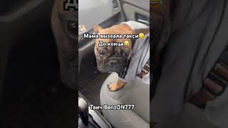 Твич BenzON777 жду всех на стримах #dota #dota2 #дота2 #ленаголовач #lenagolovach #lenagol0vach