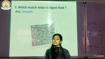 DAV SCHOOL TUTORIAL CLASS 3 G K BY SHREEN MISS