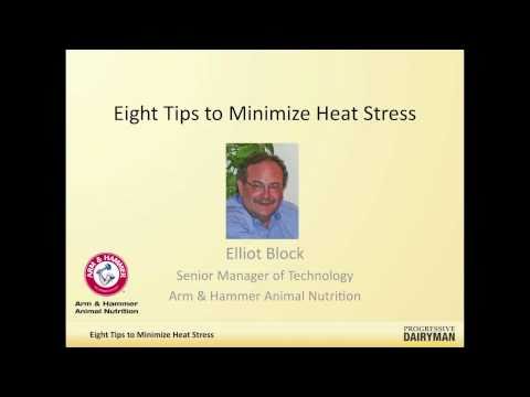 Eight tips to minimize heat stress: An interview with Elliot Block