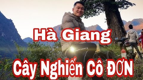 🔴 Khám Phá Cây Nghiến Cô Đơn Quản Bạ Hà Giang