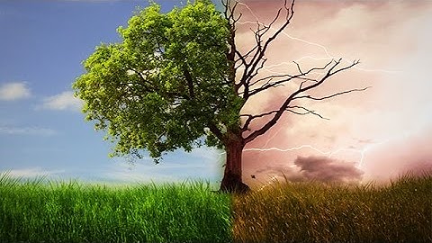 Photoshop cc Tutorial Create a Dramatic Tree Manipulation in Photoshop cc