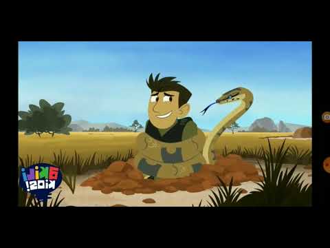 Wild Kratts Season 1 Episode 3 Aardvark Town: Chris Kratt hugged by a python (flipped) | MAG1212